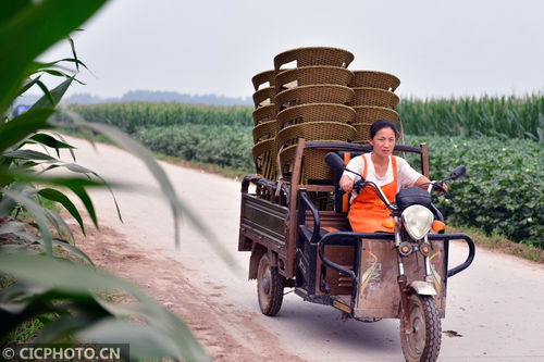 河北肥鄉(xiāng) 藤椅編制助農增收