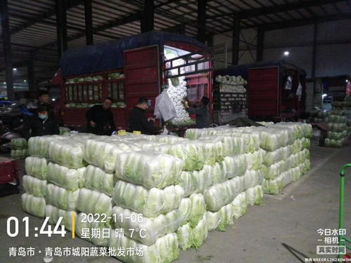 青島五大批發(fā)市場(chǎng)保障市民“菜籃子”供應(yīng)，零售價(jià)格持續(xù)走低